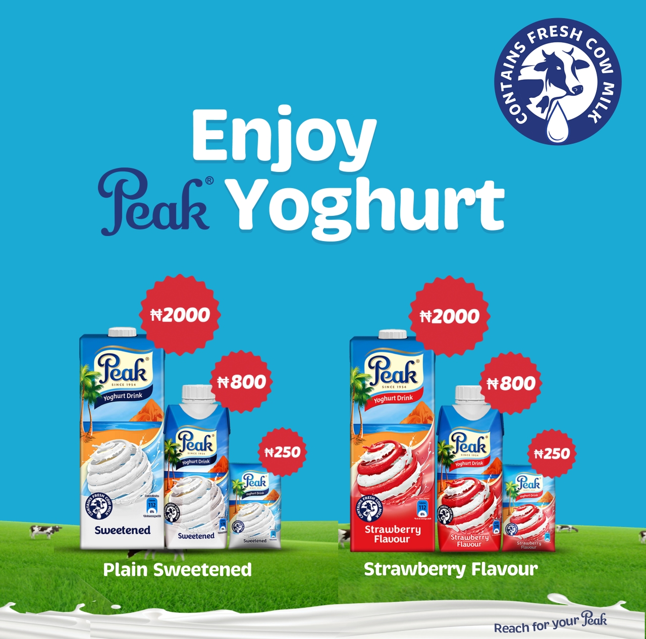 Peak Yoghurt -1280 x 1267